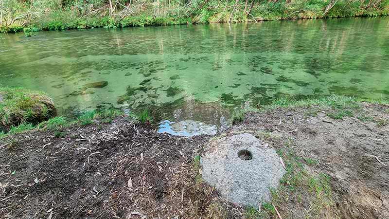 Sendero Azul del río Verdugo 10 Pequeño remanso de aguas tranquilas en el río Verdugo.