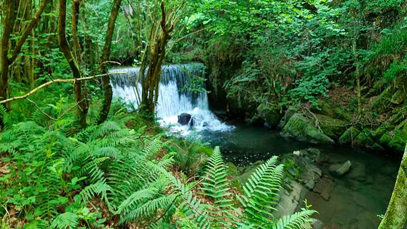 ruta por el río Irbienza