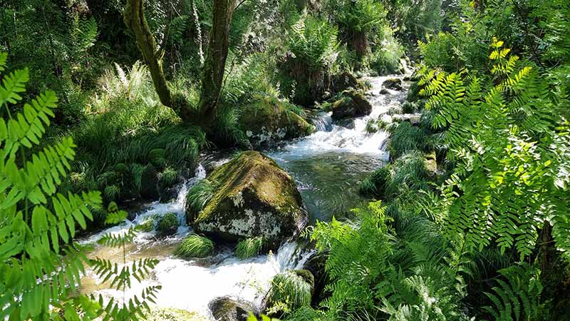 Fervenza río Barragán o Pozo Machado