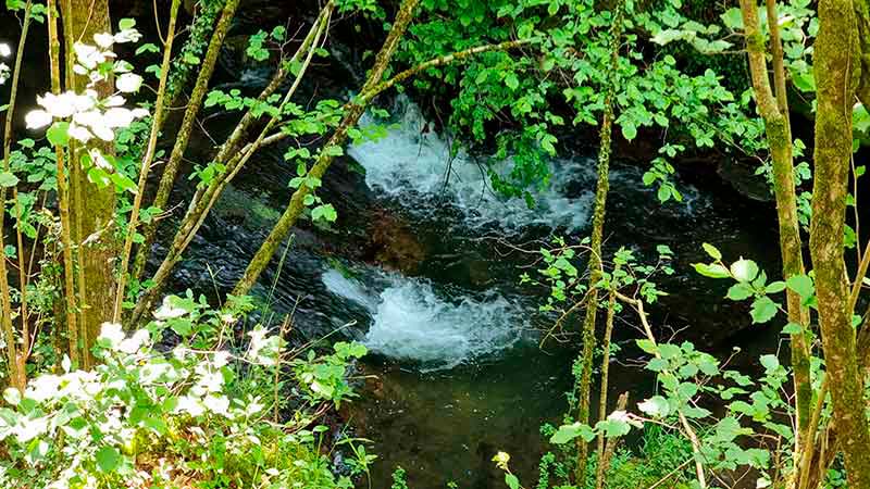 ruta por el río Irbienza