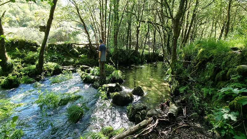 Fervenza río Barragán o Pozo Machado