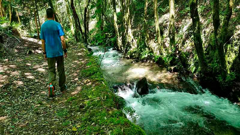 Senda del Río Maneses: La Guía Definitiva del Sendero Mágico de Galicia 9 El río Maneses fluyendo entre rocas cubiertas de musgo verde intenso en un tramo de la senda.