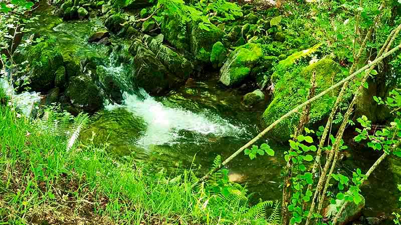 ruta por el río Irbienza