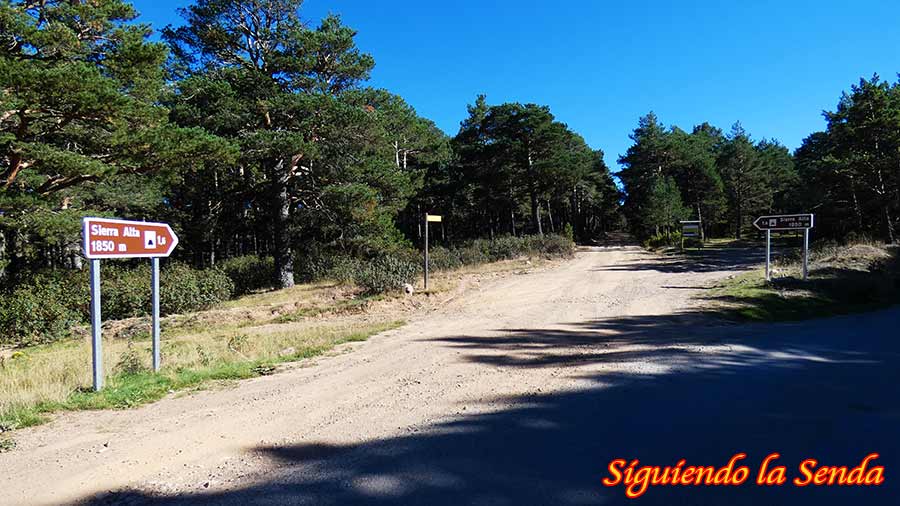 Sendero de tierra que continúa recto a través del pinar en la ruta hacia la cima de Sierra Alta.