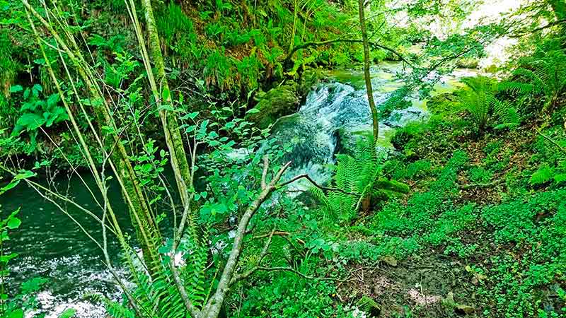 Ruta por el río Irbienza